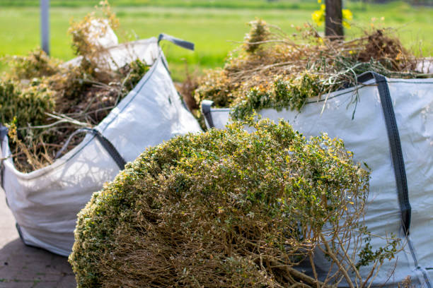 Best Construction Debris Removal  in Nicholson, GA